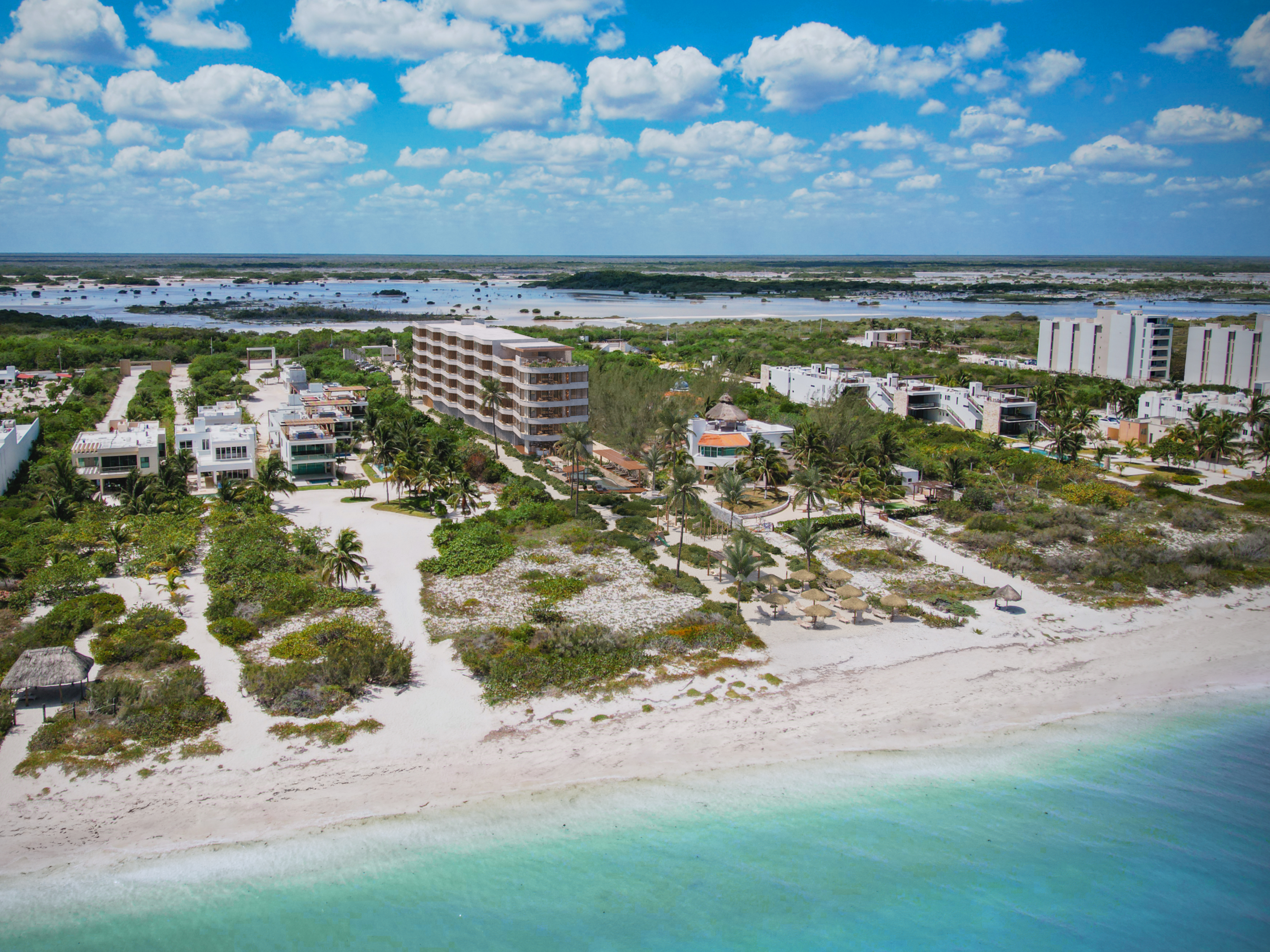 Suno aerial