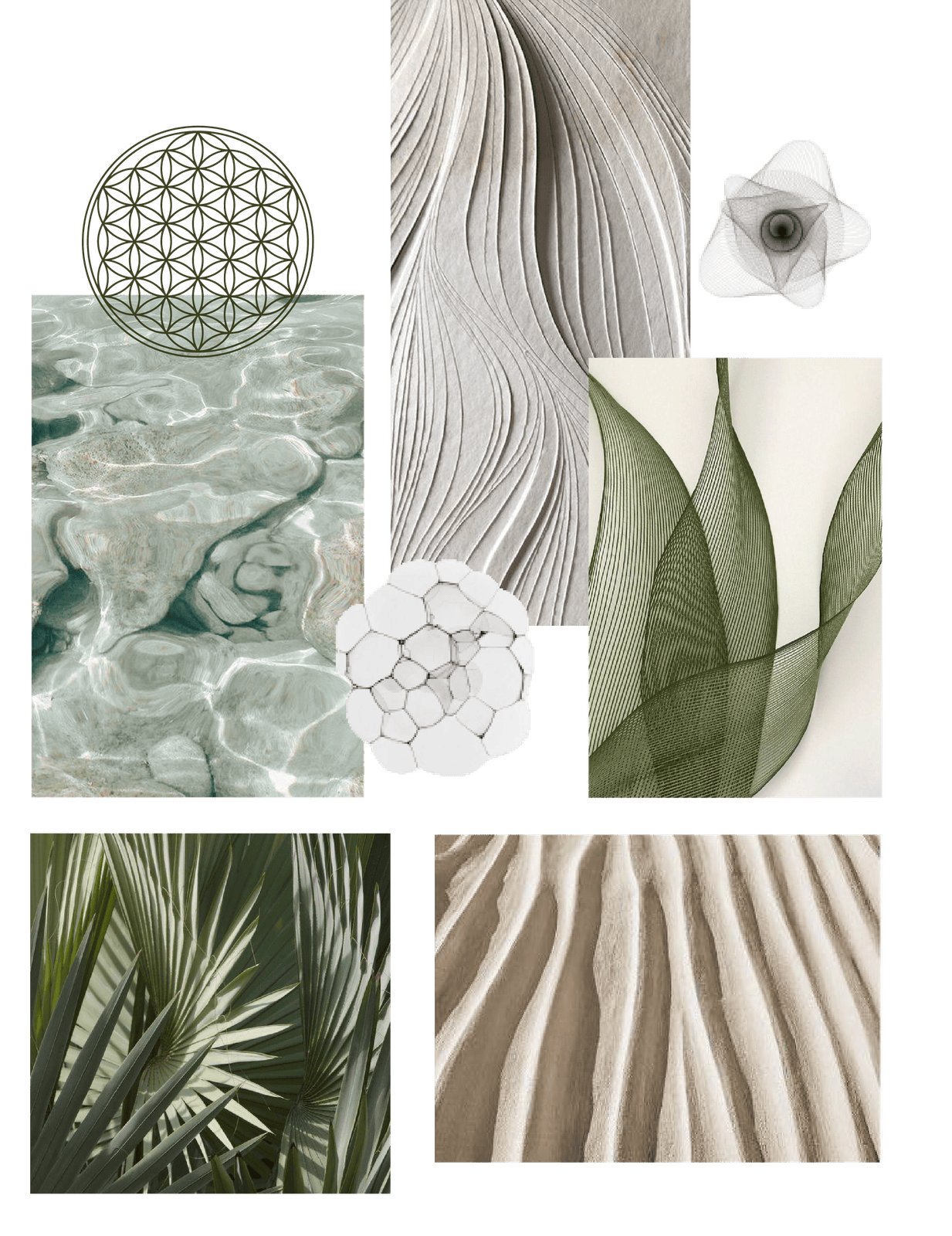 Palm Leylines