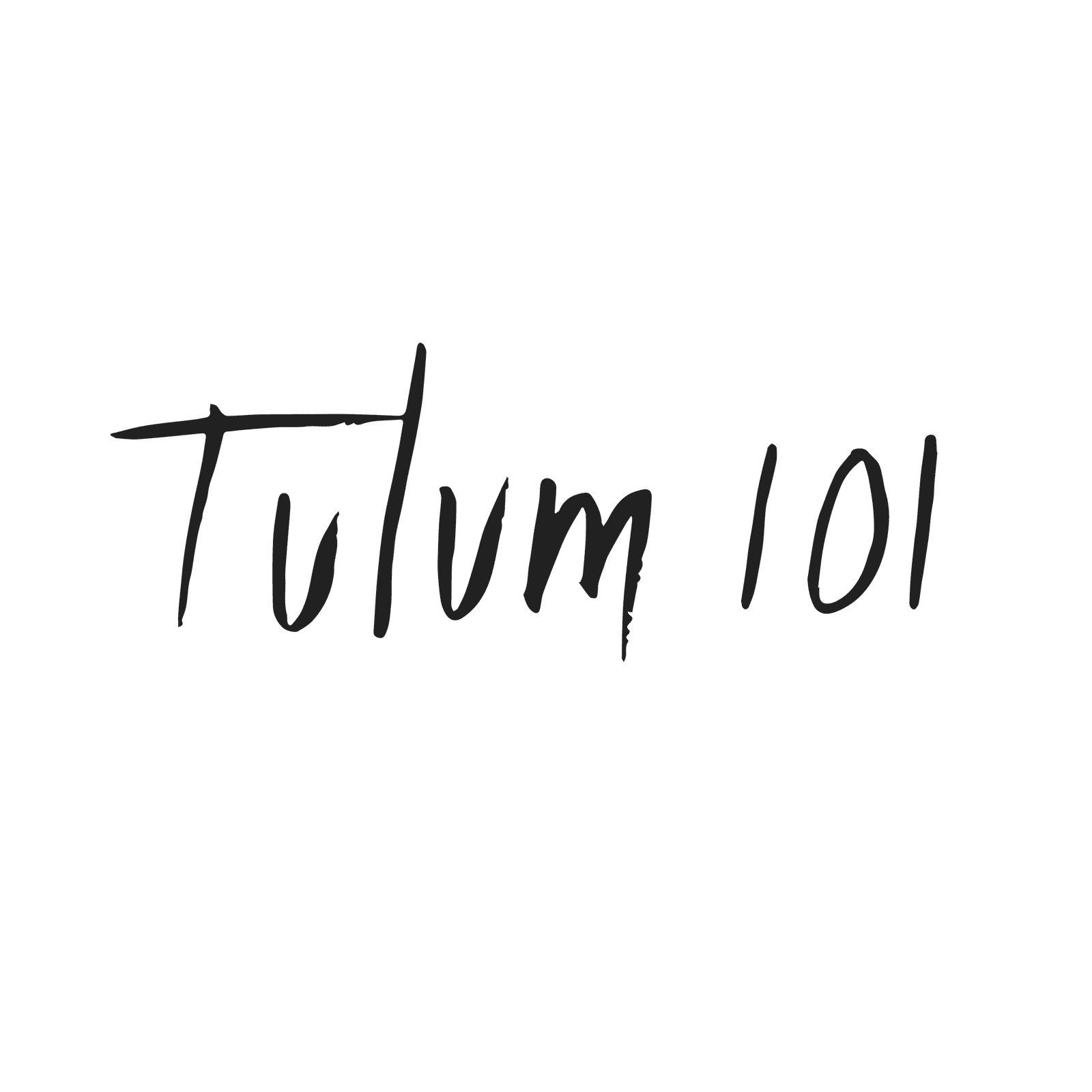 Tulum 101 identity